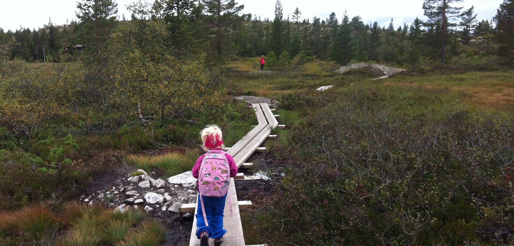 Vi oppfyller hyttedrømmen på en av våre hyttetomter! 